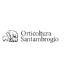 Logo Società Agricola Orticoltura Santambrogio Ss Den. Abbreviata Or.sa. Ss