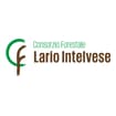 Logo Consorzio Forestale Lario Intelvese