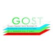 Logo Gruppo Operatori Servizi Tecnologici G.o.s.t. Srl