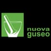 Logo Guseo Srl