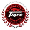 Logo Intonacatrice Tigre Snc Di Dassetto Paolo E Dassetto Marco