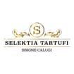 Logo Selektia Italia Srl