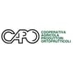 Logo Cooperativa Agricola Produttori Ortofrutticoli (In Forma Abbrevia Ta Capo Società Agricola Produttori Ortofrutticoli)