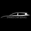 Logo Carrozzeria Spanesi Srl