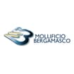 Logo Mollificio Bergamasco Spa