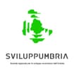 Logo Società Regionale Per Lo Sviluppo Economico Dell'umbria - Svilup Pumbria Spa