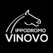 Logo Hippogroup Torinese Spa