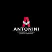 Logo Antonini Srl