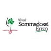 Logo Sommadossi Enzo
