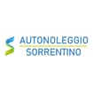 Logo Sorrentino Transfer Di Sorrentino Paolo