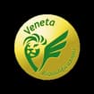 Logo Veneta Riqualificazioni Srl