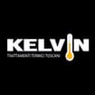 Logo Kelvin Srl