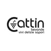 Logo Cattin Srl