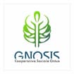 Logo "Gnosis Cooperativa Sociale" Onlus