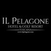 Logo Il Pelagone Srl