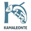 Logo Associazione Kamaleonte Ets Impresa Sociale