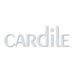 Logo Cardile E Troia Srl