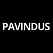Logo "Pavindus Srl", Società In Liquidazione