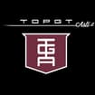 Logo Top Gt Srl