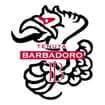 Logo Tenuta Barbadoro Di Alessio E David Gallerini Ss A Gricola