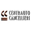 Logo Centrauto Cancellieri 2 Srl