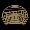 Logo Cioli 1917 Srl