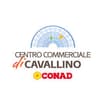 Logo "Consorzio Operatori Cavallino" - In Sigla "Coopcav"