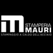 Logo Stamperia Mauri Srl