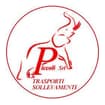 Logo Piccoli Srl