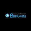 Logo Ceramiche Braghini Di Braghini Liana E C. S.n.c.