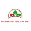 Logo Monterisi Group Srl