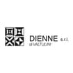 Logo Dienne Srl Di Valtulini