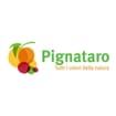 Logo Dr. Franco Pignataro Srl