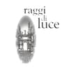 Logo Raggi Di Luce Servizi Srl
