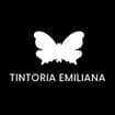 Logo Tintoria Emiliana Srl