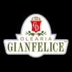 Logo Gianfelice Srl Semplificata