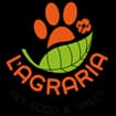 Logo Agraria 2.0 Srl Semplificata