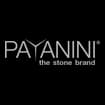 Logo Payanini Srl Con Sigla "Payanini Srl"