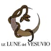 Logo Le Lune Del Vesuvio Srl