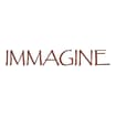 Logo Immagine S.n.c. Di Cioncolini M. E Baglioni F.
