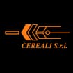 Logo Ital Cereali Srl