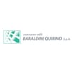 Logo Costruzioni Edili Baraldini Quirino Spa