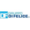 Logo Gruppo Di Felice S.r.l