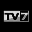Logo Triveneta Srl