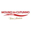 Logo Molino Sul Clitunno Spa