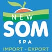 Logo New Som Spa