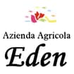 Logo Arnoldo Claudio