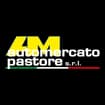 Logo Automercato Pastore Srl