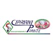 Logo Cipriani Piante Di Cipriani Davide