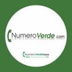 Logo Numero Verde Italia Srl